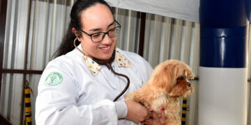 Vet-Móvel registra 32,3 mil agendamentos e avança para mais cidades do Paraná