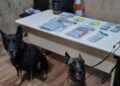 Cães farejadores ajudam PM a localizar mais de 300 gramas de maconha em Pontal do Paraná