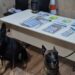 Cães farejadores ajudam PM a localizar mais de 300 gramas de maconha em Pontal do Paraná