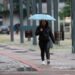 Foto: Alessandro Vieira/SESA