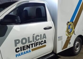Motociclista e cavalo morrem após colisão na BR-277 em Paranaguá
