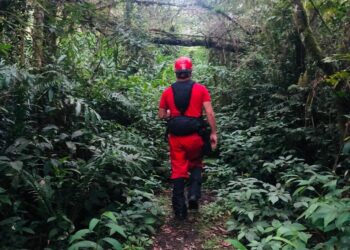 Idoso desaparece em área rural de Morretes e mobiliza equipes do Corpo de Bombeiros