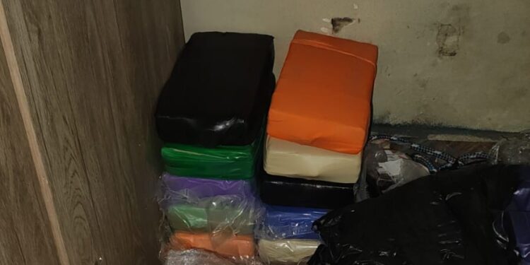 Operação Azimute: PF apreende 11,7 kg de cocaína e prende suspeito em Paranaguá