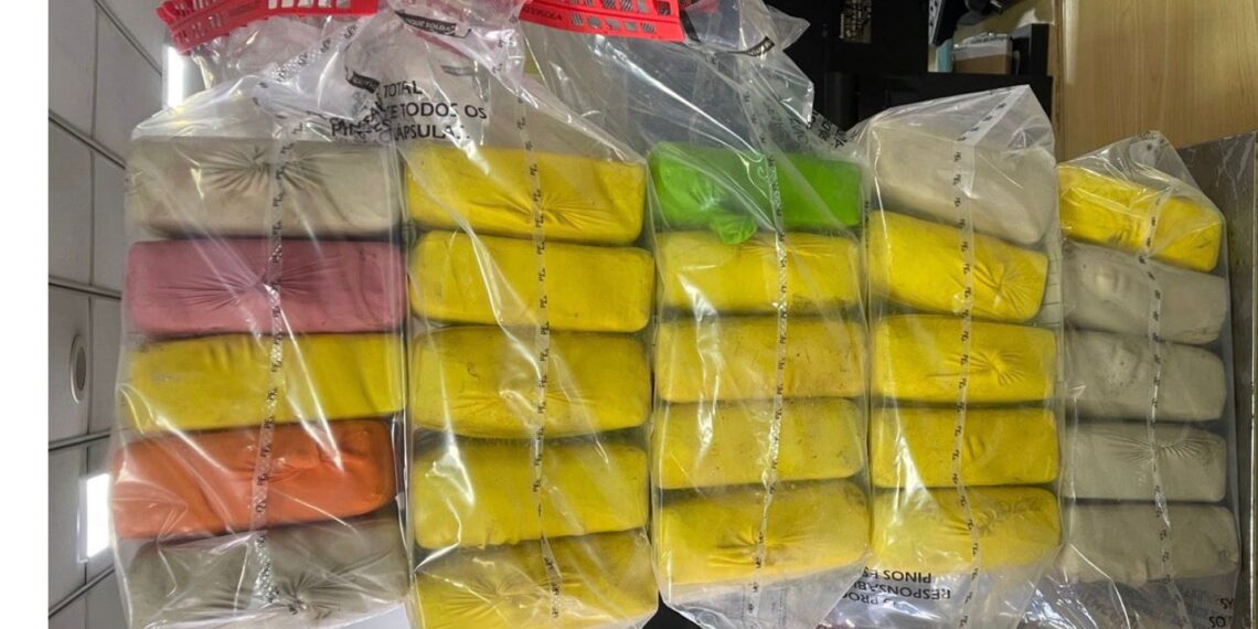 PF apreende cerca de 33 quilos de cocaína escondidos em contêiner no Porto de Paranaguá