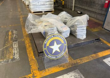 Receita Federal apreende quase 100 quilos de cocaína escondidos em roletes metálicos em Paranaguá