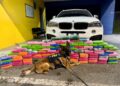 PRF apreende 136 kg de cocaína escondidos em BMW na BR-277, em Balsa Nova