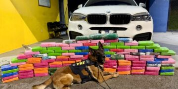 PRF apreende 136 kg de cocaína escondidos em BMW na BR-277, em Balsa Nova