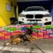 PRF apreende 136 kg de cocaína escondidos em BMW na BR-277, em Balsa Nova