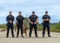 GCM treina cadela K9 na Ilha do Mel para futuras operações contra o tráfico de drogas
