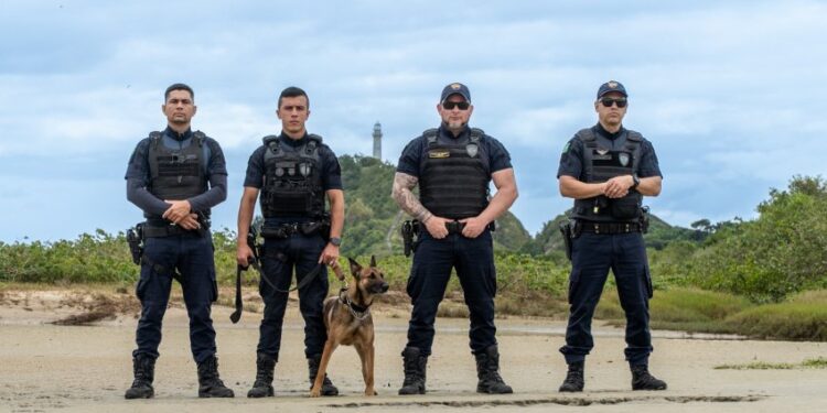 GCM treina cadela K9 na Ilha do Mel para futuras operações contra o tráfico de drogas