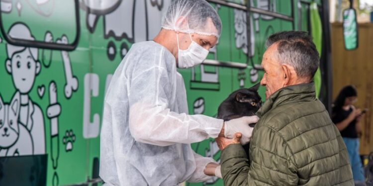 Mutirões de Vacinação Antirrábica para cães e gatos é realizado em Paranaguá