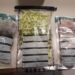 Homem é preso com 160 pinos de cocaína e porções de maconha em Antonina