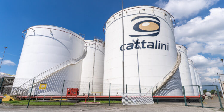 Cattalini abre inscrições para Programa Trainee com oportunidades em quatro áreas