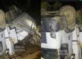 Tombamento de caminhão deixa seis búfalos mortos na PR-405