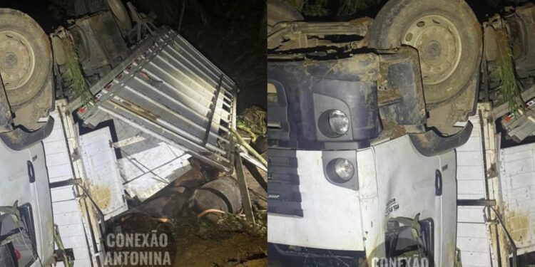 Tombamento de caminhão deixa seis búfalos mortos na PR-405
